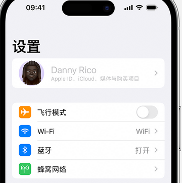 广德appleID维修服务iPhone设置中Apple ID显示为灰色无法使用 