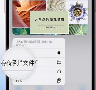 广德apple维修中心分享iPhone文件应用中存储和找到下载文件