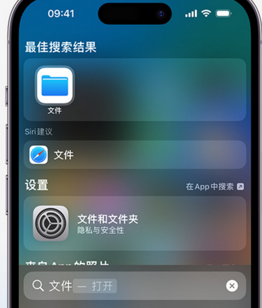 广德apple维修中心分享iPhone文件应用中存储和找到下载文件