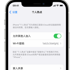 广德apple服务站点分享iPhone上个人热点丢失了怎么办 