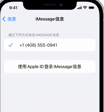 广德apple维修iPhone上无法正常发送iMessage信息 