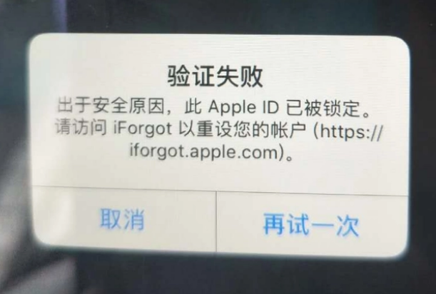 广德iPhone维修分享iPhone上正常登录或使用AppleID怎么办 