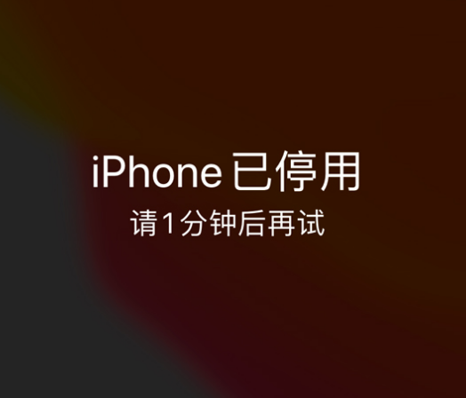 广德苹果手机维修分享:iPhone 显示“不可用”或“已停用”怎么办？还能保留数据吗？ 