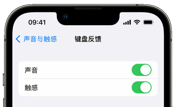 广德苹果手机维修分享iPhone 14触感键盘使用方法 