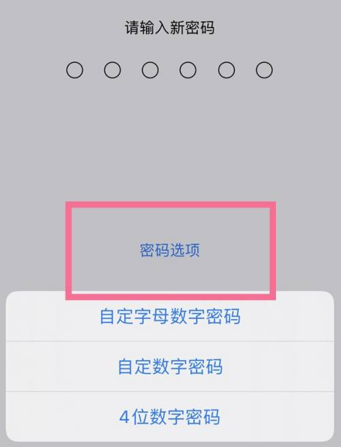广德苹果14维修分享iPhone 14plus设置密码的方法 