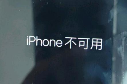 广德苹果服务网点分享锁屏界面显示“iPhone 不可用”如何解决 