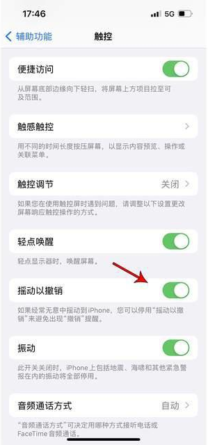 广德苹果手机维修分享iPhone手机如何设置摇一摇删除文字 