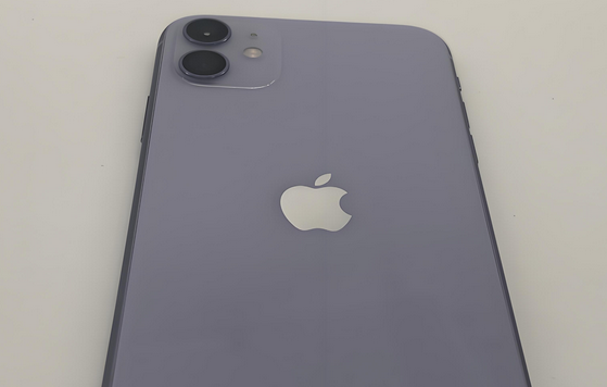 广德苹果11系统维修分享iPhone11手机系统崩溃无法开机如何解决